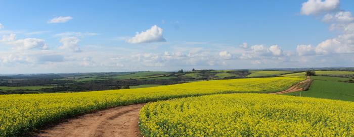 Agriculture