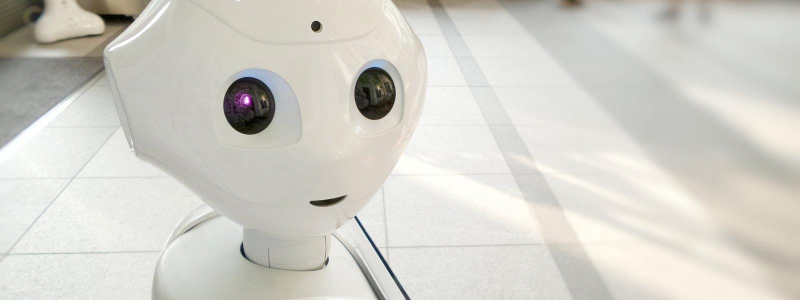 robot