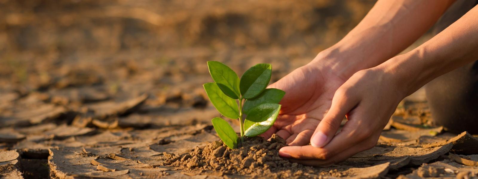 climate actions