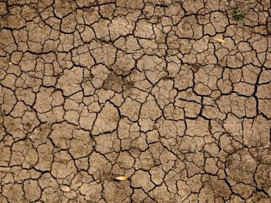 drought